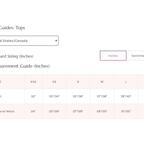 NWT Free People Claudia Tee / Champagne Toast XS - Picture 5 of 7